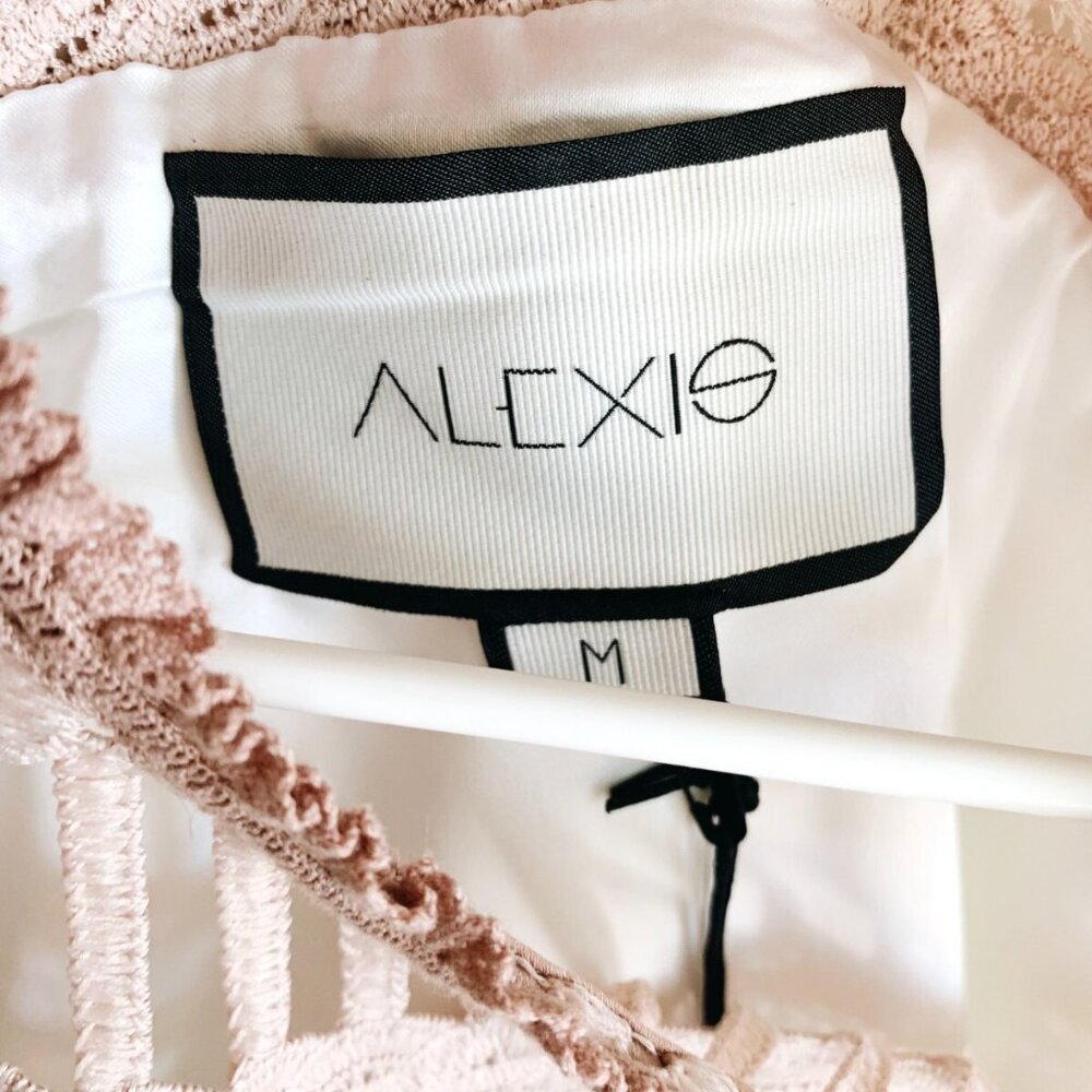NWT ALEXIS Melania Lace Cut Out Fit & Flare Dress in White Pink Size M - Picture 3 of 8